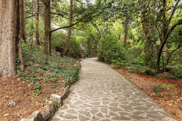 Stone Walkway Repair in Richmond