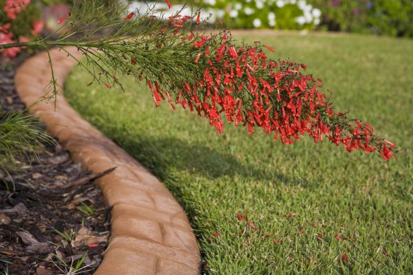 Brick Edging in Richmond