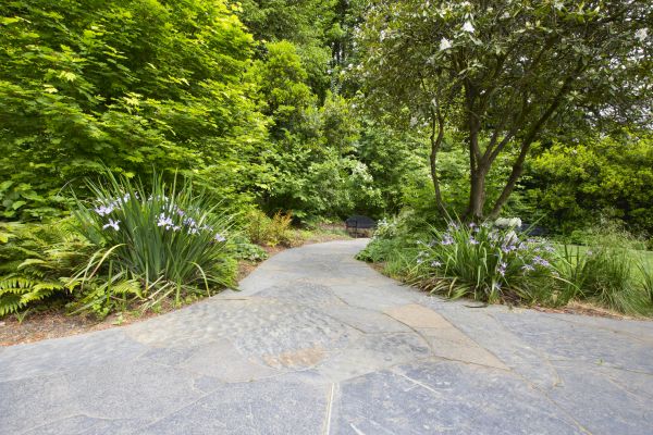 Stone Hardscape Service in Richmond